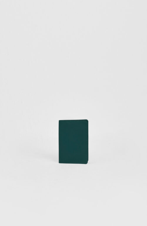 Capa de Passaporte